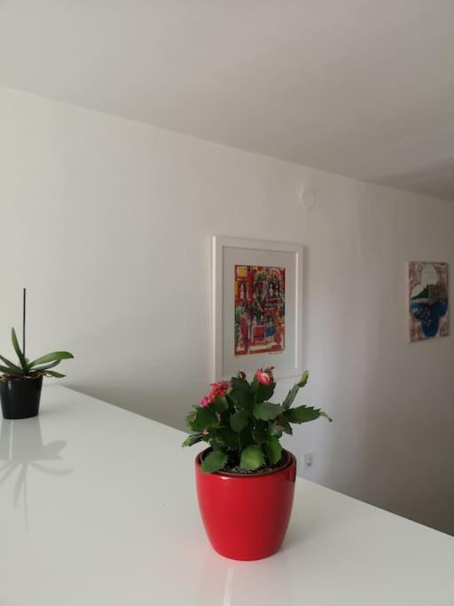 Studio Apartment Ivana - New Sweet Apartment Dubrovnik Luaran gambar